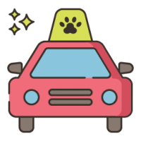 Pet Taxi Pet Taxi