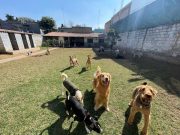 203814ea-94e7-4c30-bba5-b5f54256c7d8