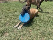 39232d6b-7e55-408a-86b4-83c4f27c4178