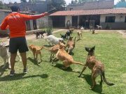 51a3f1b0-c9c9-45c0-9de2-44de8faad9b2