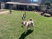 7242559c-2eb9-4c39-83e4-97a9c2bbf36f