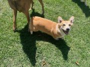 740a2d22-3426-44c1-a127-7171b99f4562