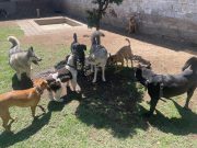 82f4dabd-8897-497b-a126-b086a97bd8d1