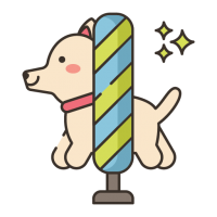 Agility Training Agility Training