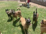 cc9b1652-787c-4d70-9fdc-513a345a53a0