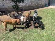 cfb14ff7-b4ec-457c-9628-78538f1004f5