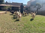 da2b1894-1507-42ea-a7b3-784e998a8d70