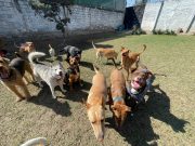 e1af00cf-76c1-481e-8b5c-82dbfe11a0d9